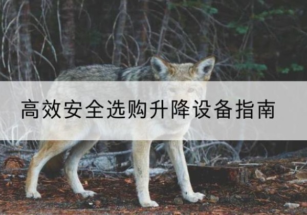 迁安升降货梯厂家推荐-*安全选购升降设备指南