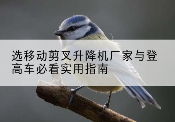迁安电动升降机厂家-选移动剪叉升降机厂家与登高车必看实用指南